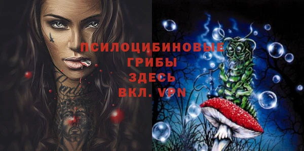 МДПВ Белокуриха